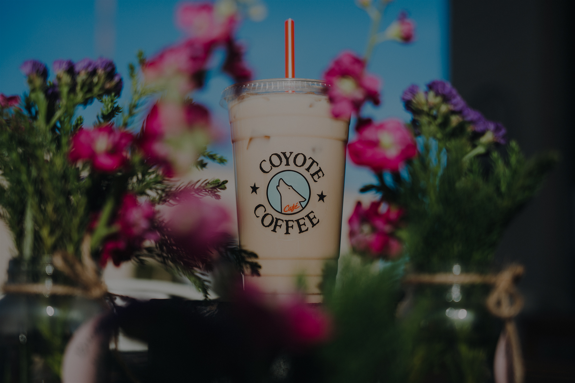 An iced coffee from coyote coffee surrounded by spring flowers